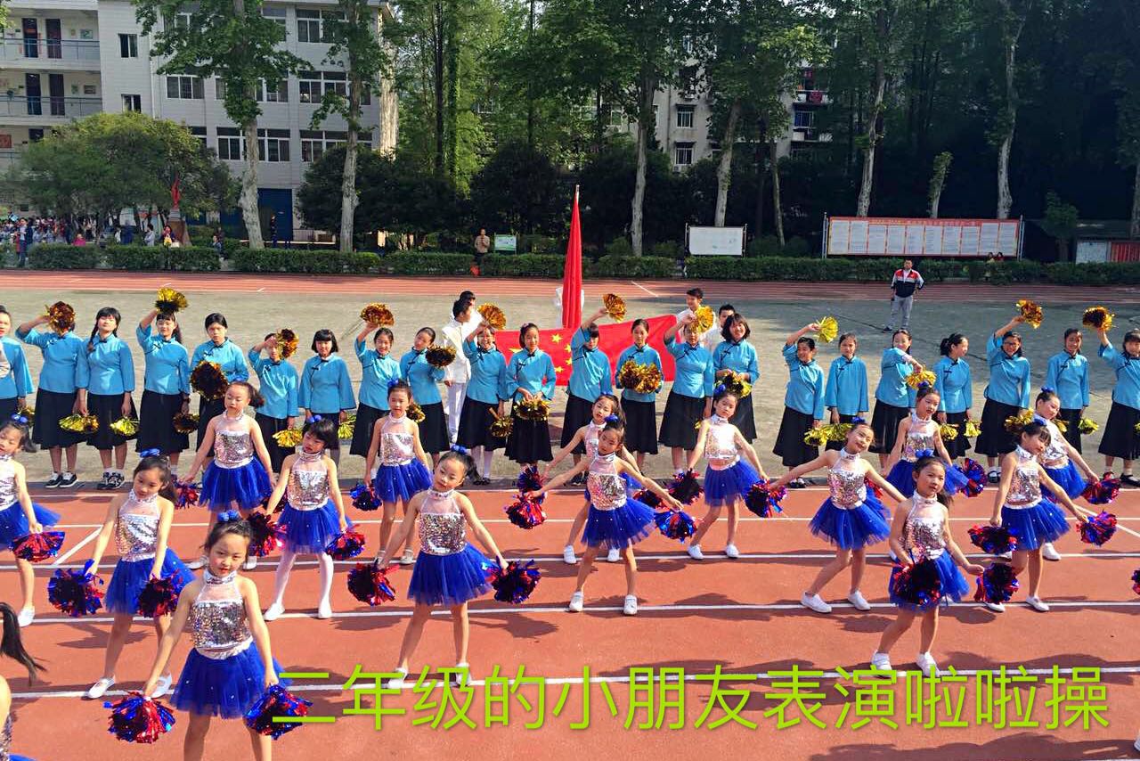 2010-2011第十周工作安排